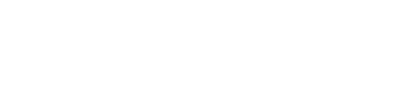 AD Holdings